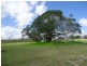 1381 Rosedale Road, Bucca QLD 4670