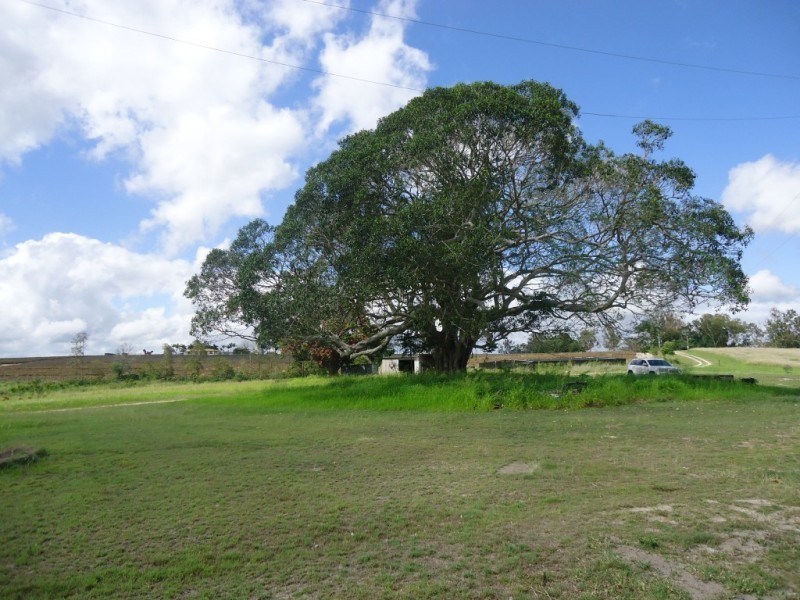 1381 Rosedale Road, Bucca QLD 4670