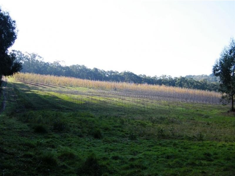 18 Carters Lane, Seville VIC 3139