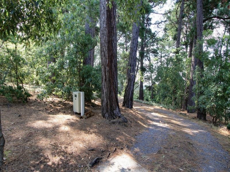 10 Summit Crescent, Ringwood North VIC 3134