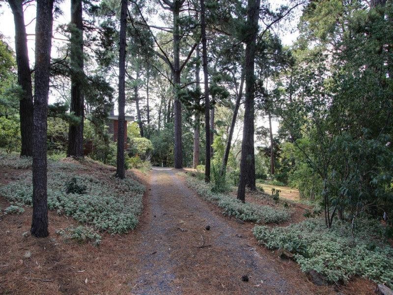 10 Summit Crescent, Ringwood North VIC 3134