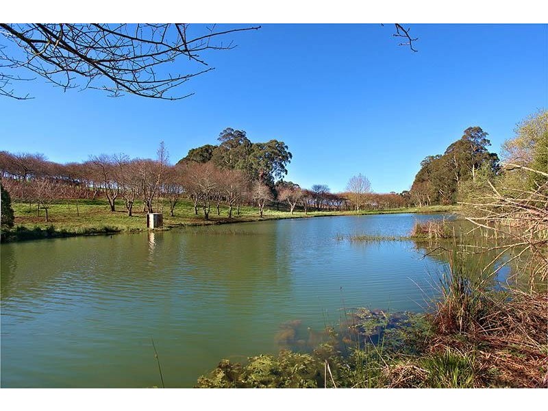 135 Macclesfield Road, Monbulk VIC 3793