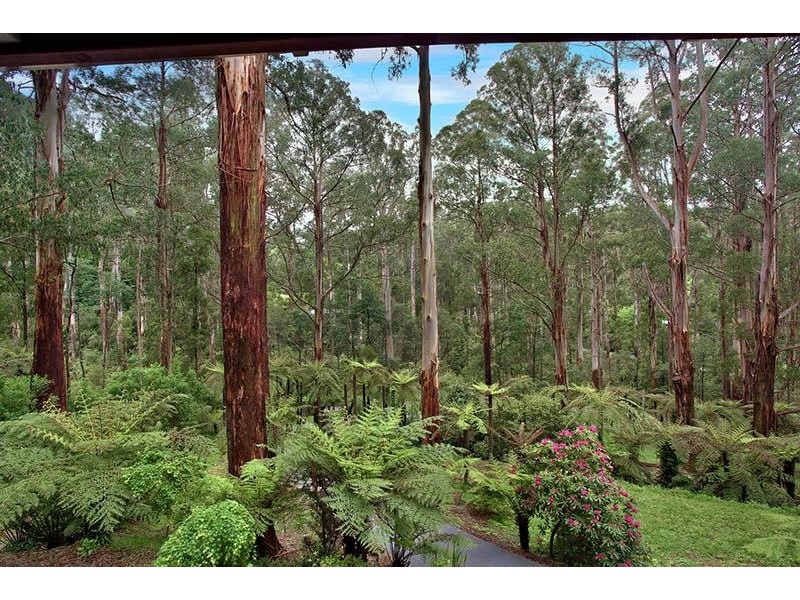 74 The Crescent, Sassafras VIC 3787