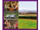 Wandin North VIC 3139