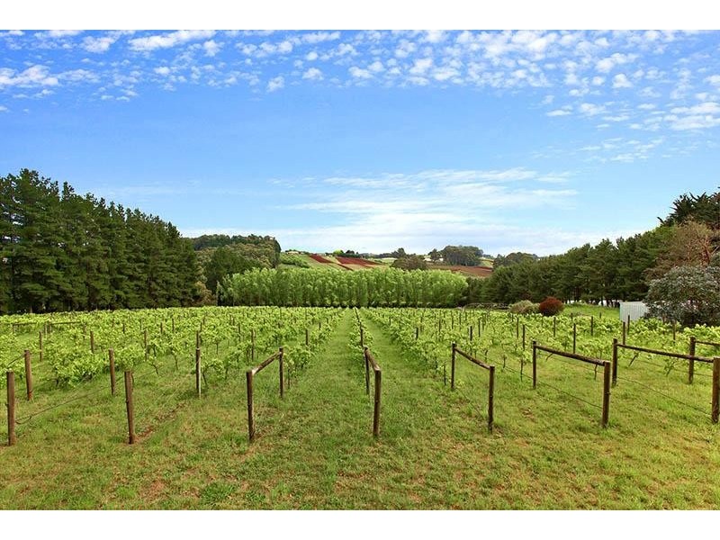 145 Macclesfield Road, Monbulk VIC 3793