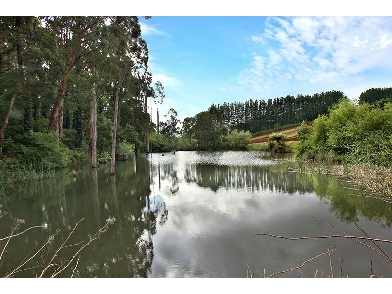 145 Macclesfield Road, Monbulk VIC 3793
