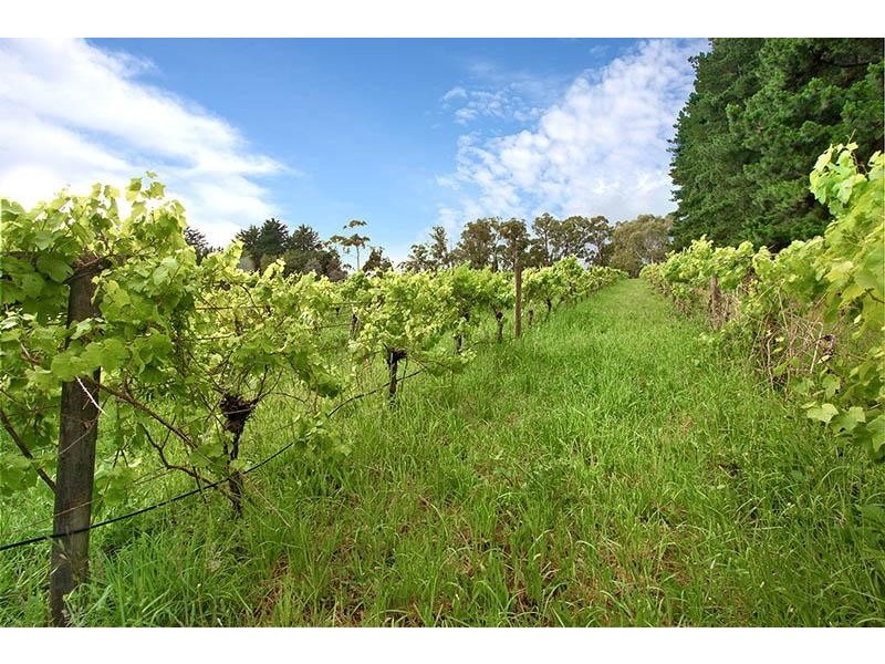 145 Macclesfield Road, Monbulk VIC 3793