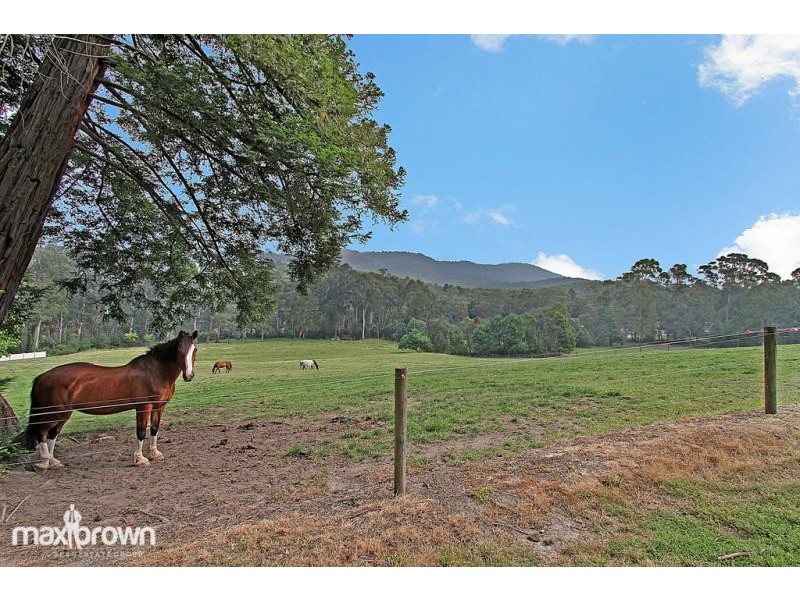 116 York Road, Mount Evelyn VIC 3796