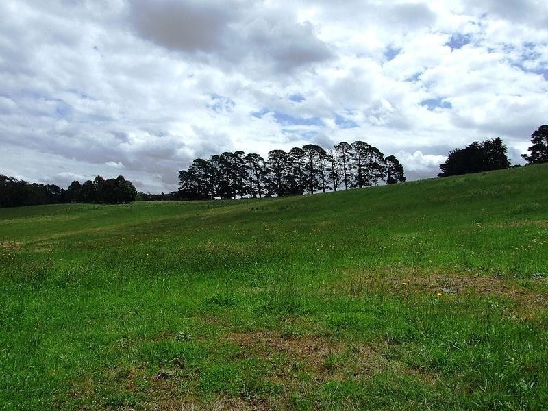 15 Koala Road, Seville VIC 3139