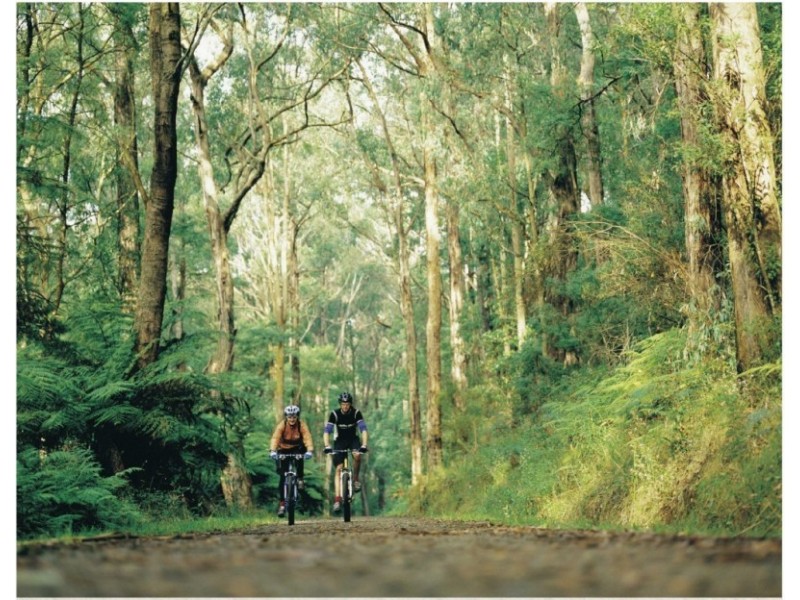 Mooroolbark VIC 3138