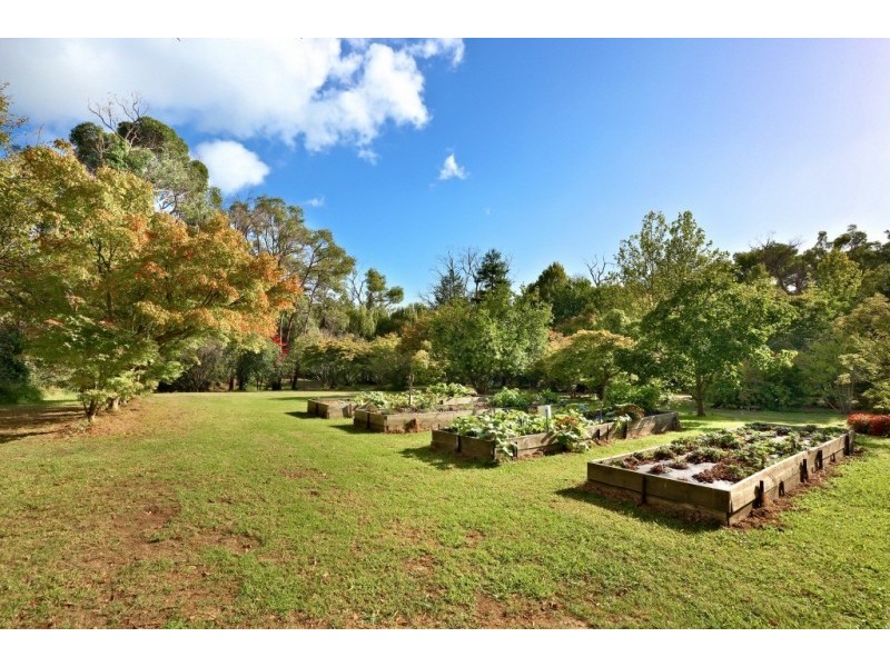 135 Clegg Road, Mount Evelyn VIC 3796