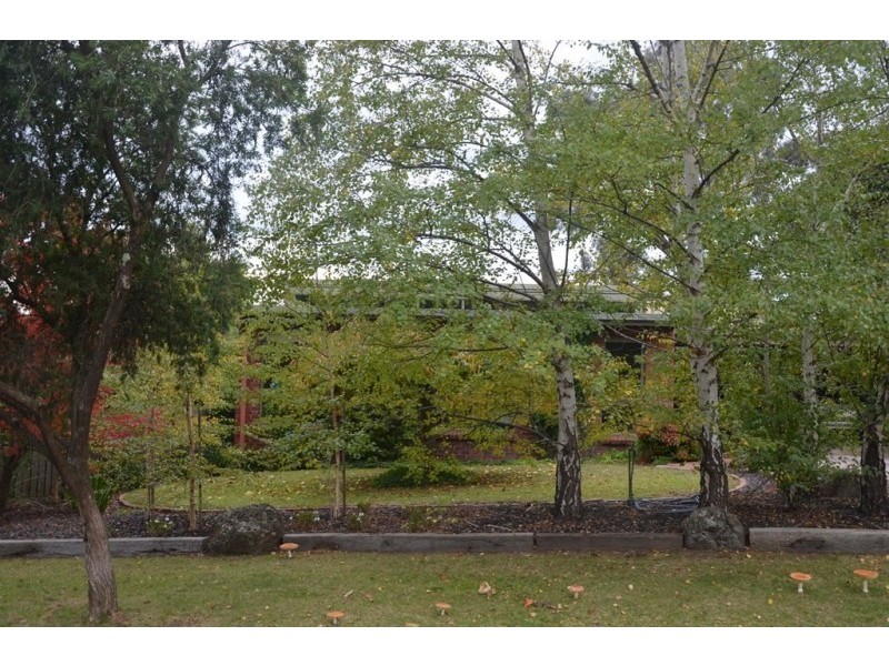 17 Copeland Drive, Montrose VIC 3765