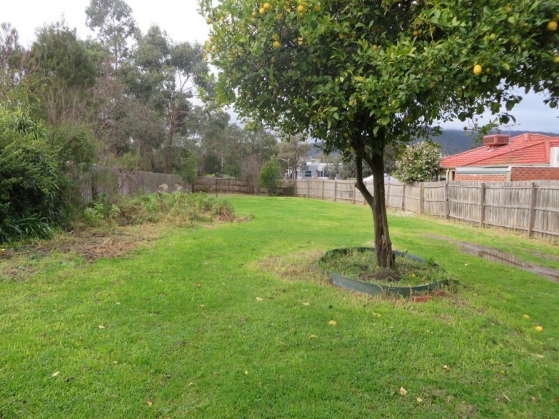 18 Sundew Avenue, Boronia VIC 3155