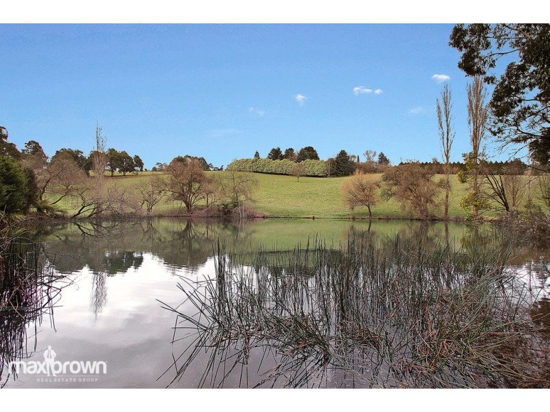 5 Beveridge Road, Silvan VIC 3795