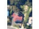 Lilydale VIC 3140