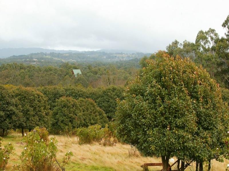 35 Angus Road, Yellingbo VIC 3139