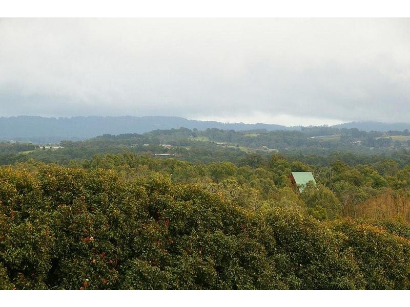 35 Angus Road, Yellingbo VIC 3139