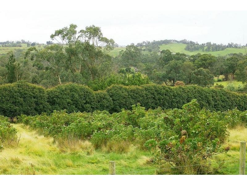 35 Angus Road, Yellingbo VIC 3139