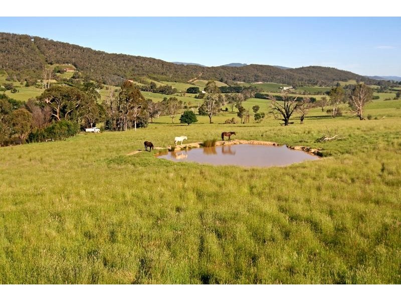 Healesville VIC 3777