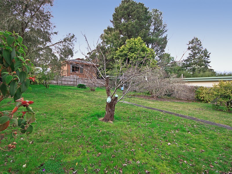 Ringwood East VIC 3135