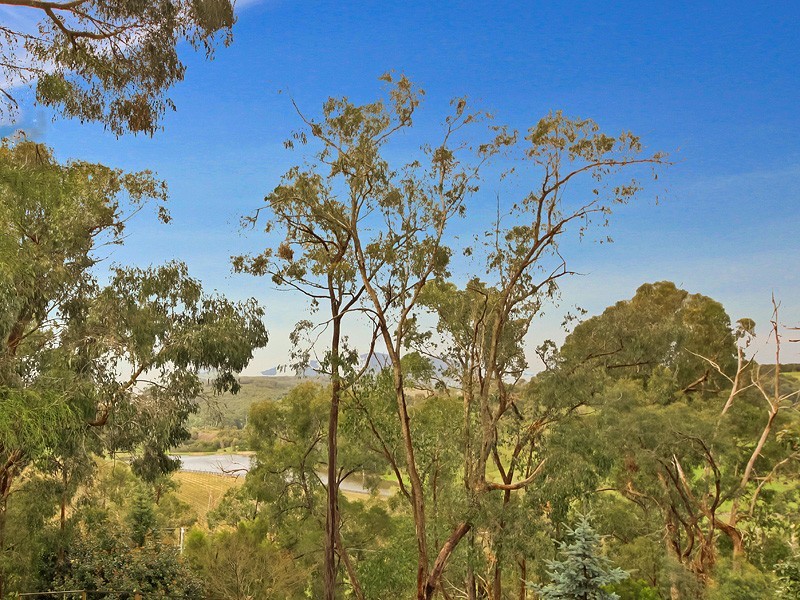 Healesville VIC 3777