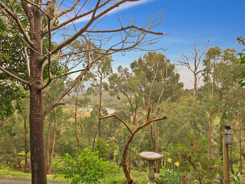 Healesville VIC 3777