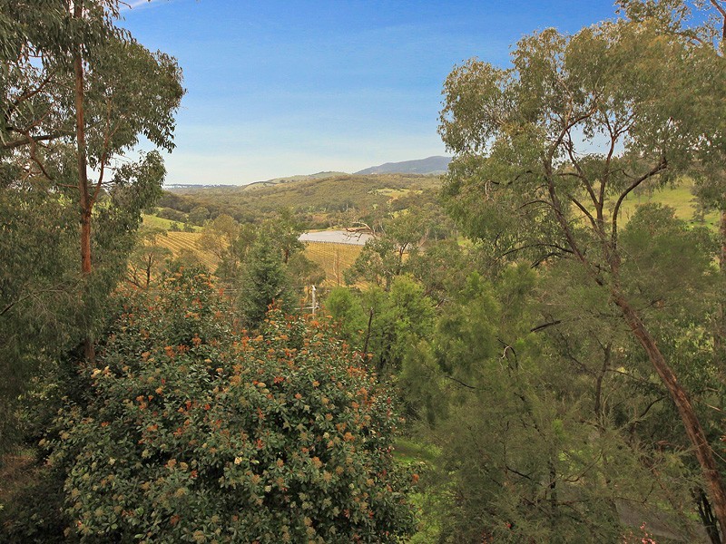 Healesville VIC 3777