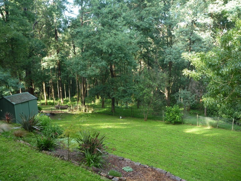 55 Caroline Avenue, Cockatoo VIC 3781