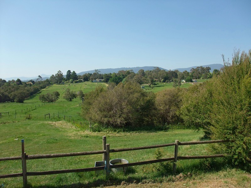 35 Shevlins Lane, Woori Yallock VIC 3139