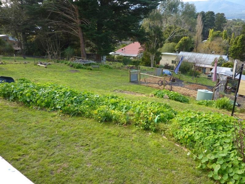 11 Peters Road, Seville VIC 3139