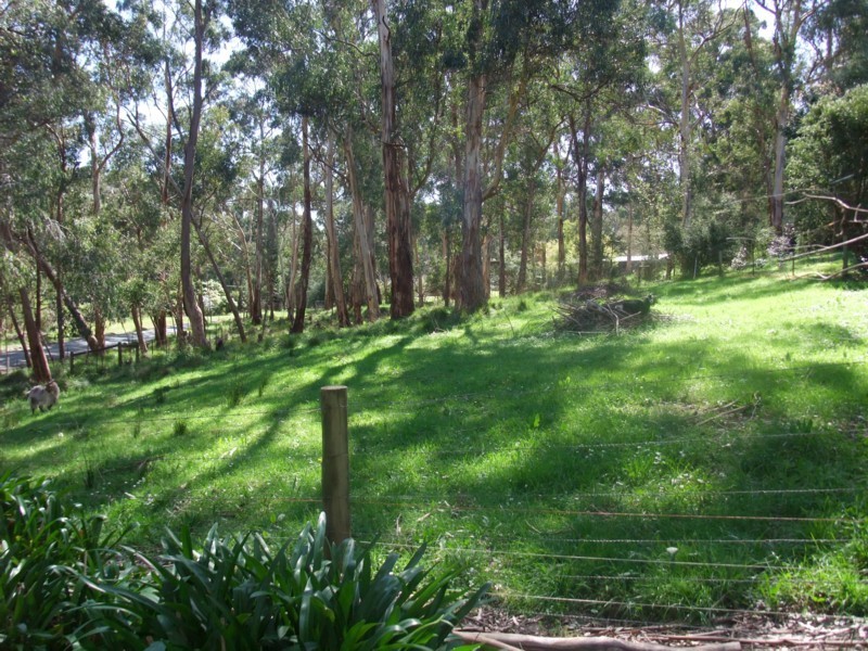 1675 Don Road, Don Valley VIC 3139