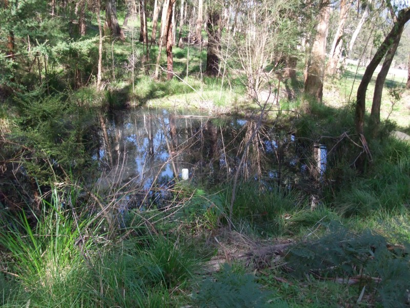 1675 Don Road, Don Valley VIC 3139