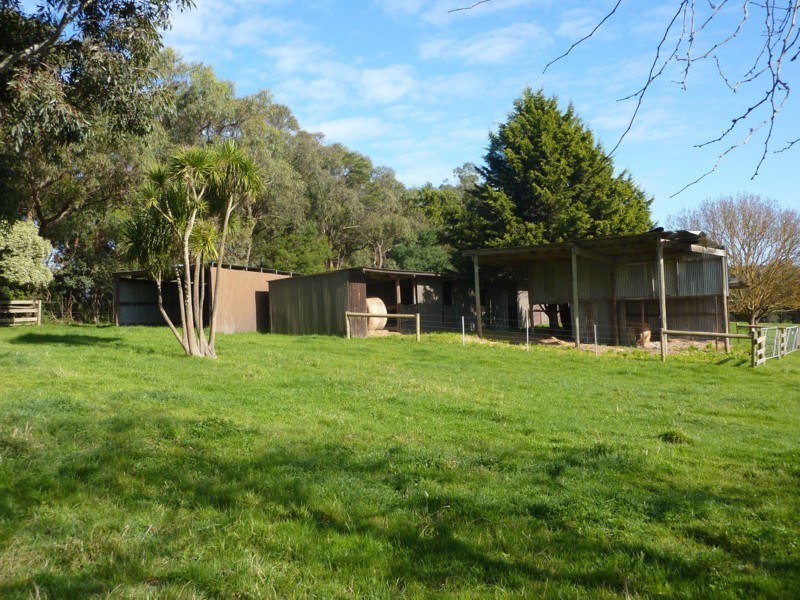 325 Beenak Road, Yellingbo VIC 3139