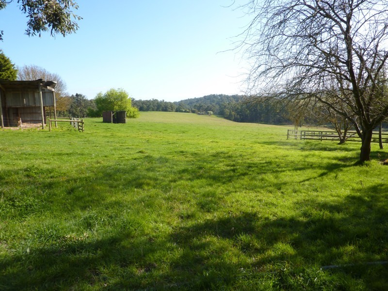 325 Beenak Road, Yellingbo VIC 3139