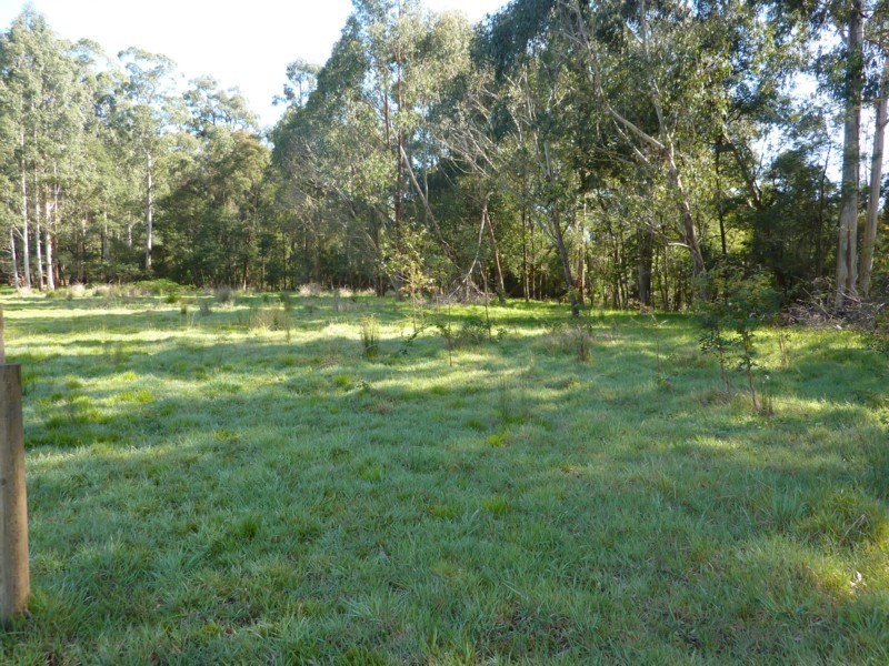 325 Beenak Road, Yellingbo VIC 3139