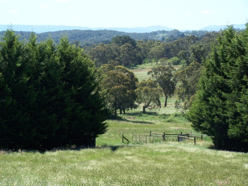 435 Beenak Road, Seville VIC 3139