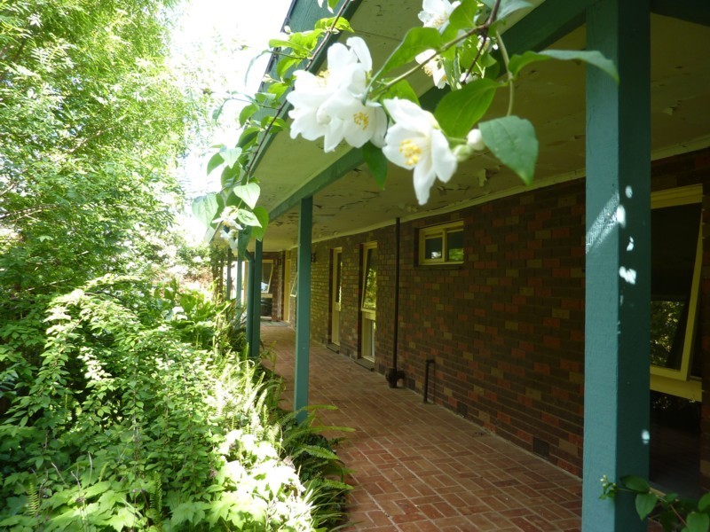 79 Seville- Monbulk Road, Seville VIC 3139