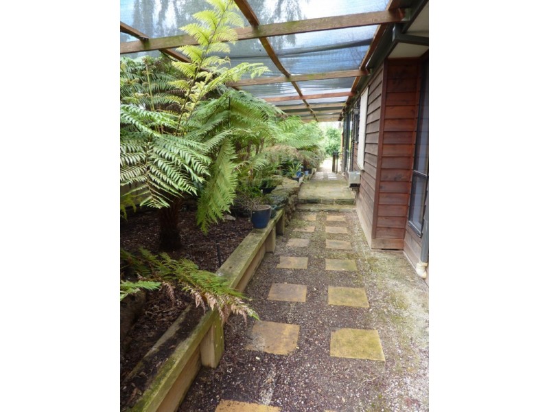 1508 Warburton Highway, Woori Yallock VIC 3139