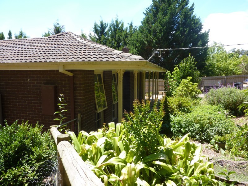 11 Winifred Street, Seville VIC 3139