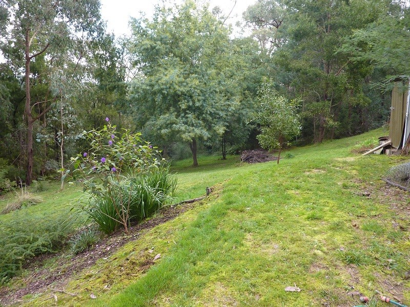 40 Peters Road, Seville VIC 3139
