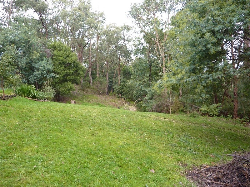40 Peters Road, Seville VIC 3139