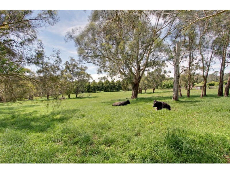 25 Tolmie Ave, Seville VIC 3139