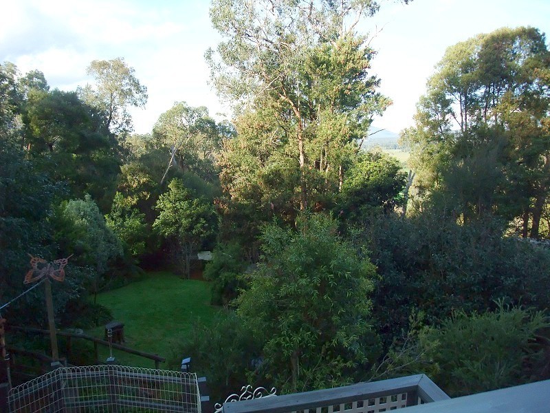 53 Timberline Road, Woori Yallock VIC 3139