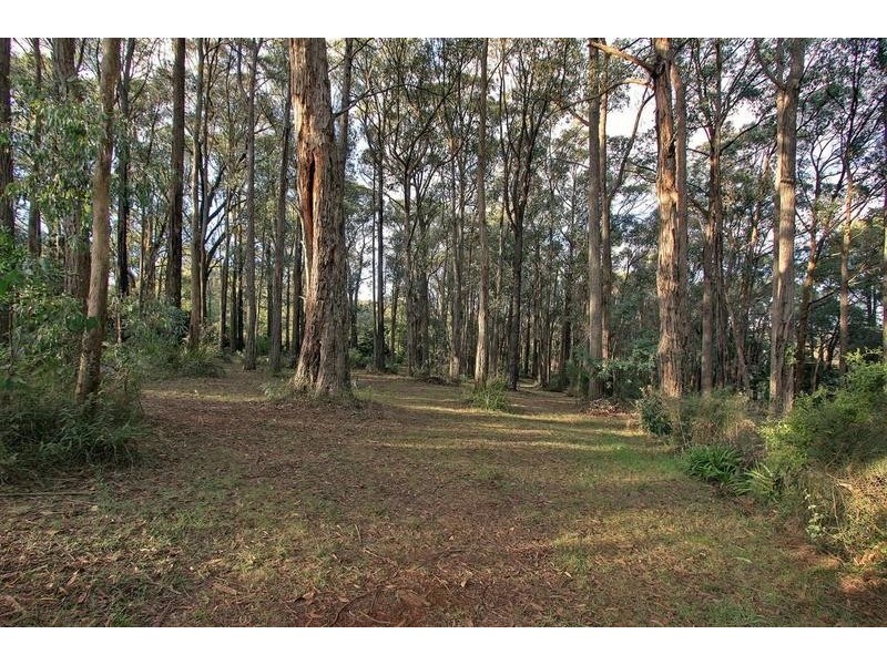 10 Thonemans Road, Hoddles Creek VIC 3139