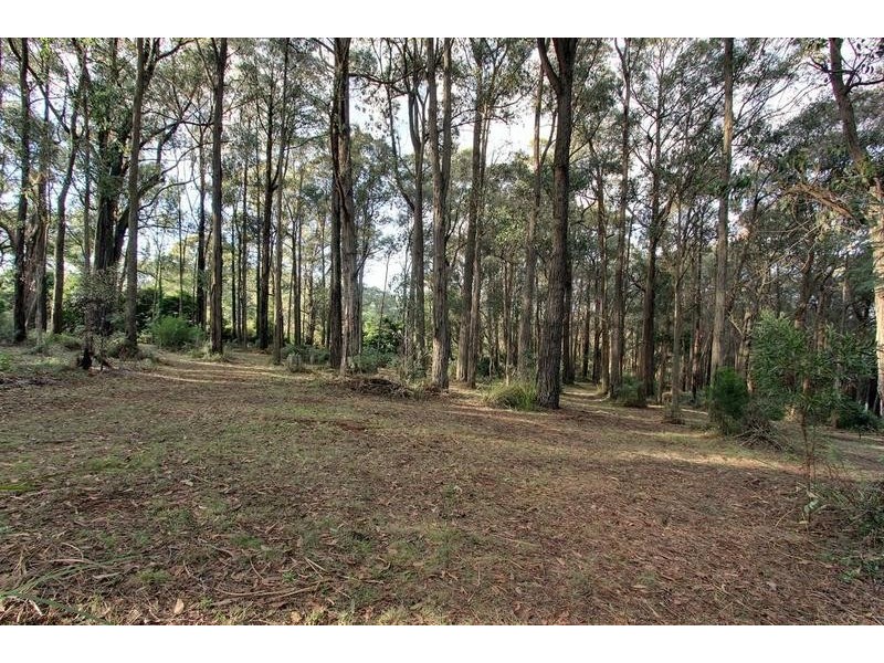10 Thonemans Road, Hoddles Creek VIC 3139