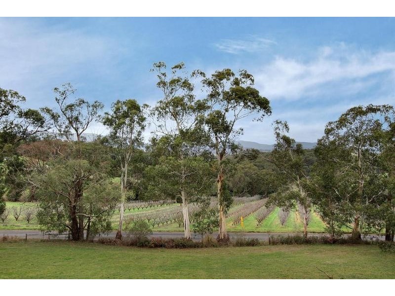 560 Beenak Road, Seville VIC 3139