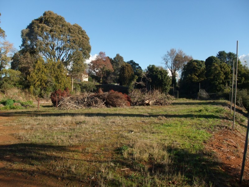 104 Beenak Road, Wandin North VIC 3139