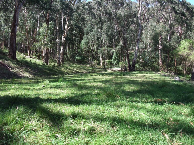 1675 Don Road, Launching Place VIC 3139