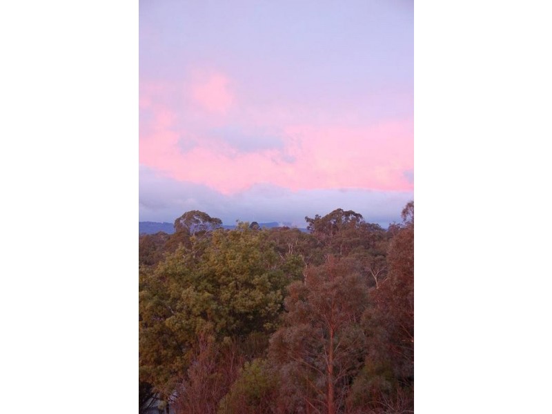 15 Seymour Street, Seville VIC 3139