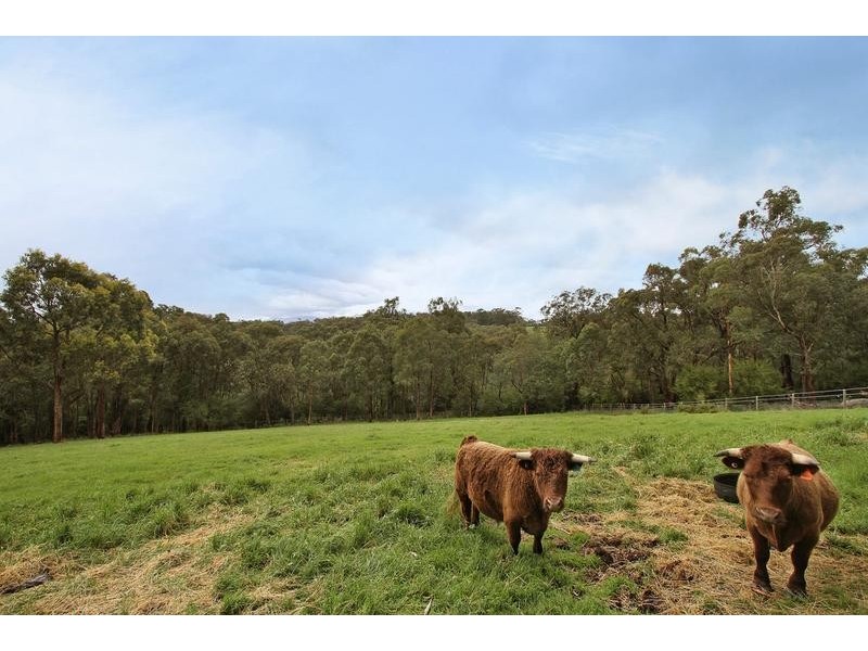 8 Sunnyside Road, Seville VIC 3139